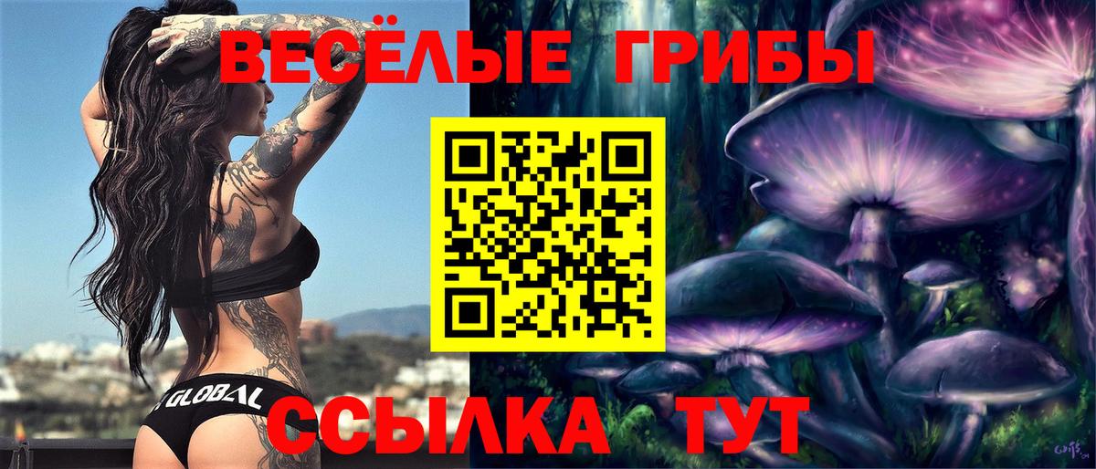 Галлюциногенные грибы Magic Shrooms  Вход с VPN  Муром 
